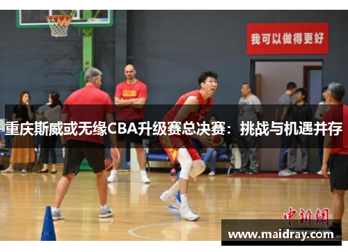 重庆斯威或无缘CBA升级赛总决赛：挑战与机遇并存